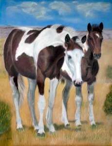"Nature's Paints", Mustang Series, 24" x 18" pastel, $525