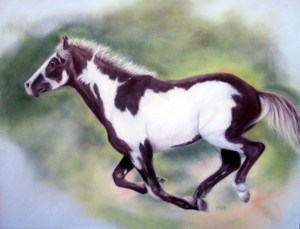 "Run Free", Mustang Series, 14" x 18" pastel, $495